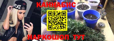 сатива Пушкино