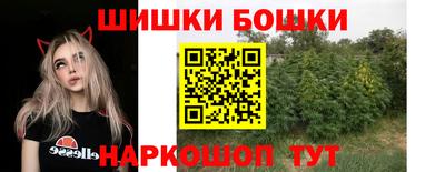 гидропоника Пугачёв