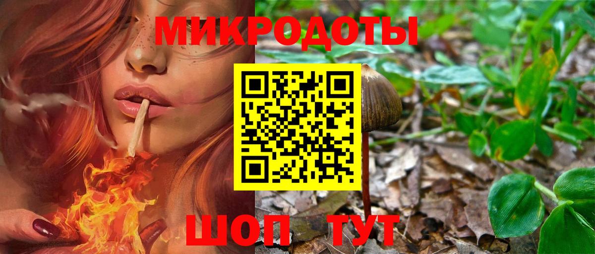 Галлюциногенные грибы Psilocybine cubensis Тимашёвск