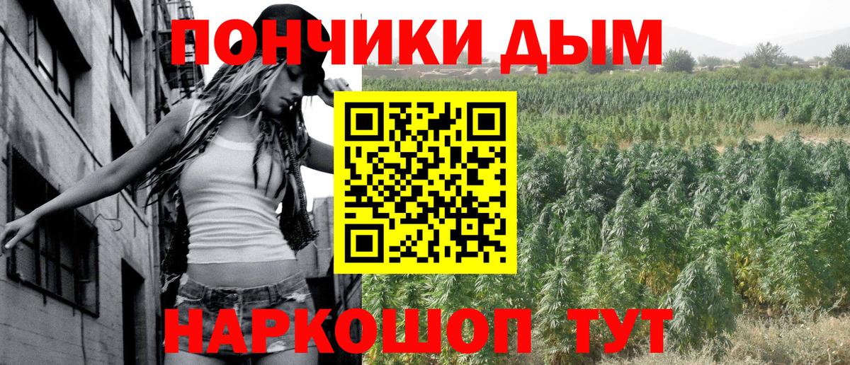 Конопля план Тимашёвск
